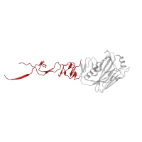 The deposited structure of PDB entry 4hg4 contains 9 copies of CATH domain 2.10.77.10 (Hemagglutinin; Chain A, domain 2) in Hemagglutinin HA1 chain. Showing 1 copy in chain O [auth H].