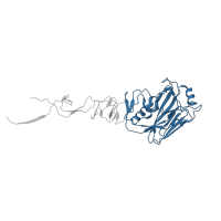 The deposited structure of PDB entry 4hg4 contains 9 copies of CATH domain 3.90.209.20 (Hemagglutinin (Ha1 Chain); Chain: A; domain 1) in Hemagglutinin HA1 chain. Showing 1 copy in chain O [auth H].