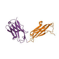 The deposited structure of PDB entry 4hg4 contains 16 copies of CATH domain 2.60.40.10 (Immunoglobulin-like) in Fab 2G1 heavy chain. Showing 2 copies in chain W [auth N].