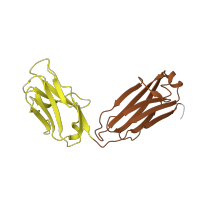 The deposited structure of PDB entry 4hg4 contains 14 copies of CATH domain 2.60.40.10 (Immunoglobulin-like) in Fab 2G1 light chain. Showing 2 copies in chain V [auth M].