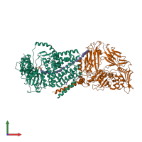 PDB entry 4hg6 coloured by chain, front view.