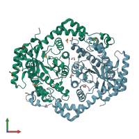 PDB entry 4hhl coloured by chain, front view.