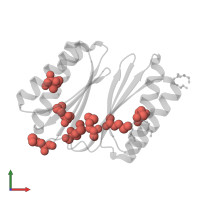 Modified residue MSE in PDB entry 4hhu, assembly 2, front view.