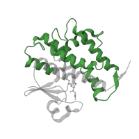 The deposited structure of PDB entry 4hi7 contains 2 copies of Pfam domain PF00043 (Glutathione S-transferase, C-terminal domain) in Glutathione transferase. Showing 1 copy in chain A.
