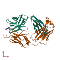 PDB entry 4hix coloured by chain, front view.