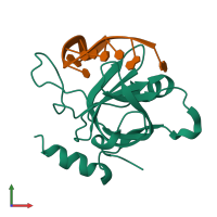 PDB entry 4hj5 coloured by chain, front view.