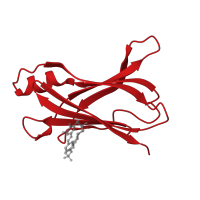 The deposited structure of PDB entry 4hjs contains 2 copies of CATH domain 2.60.40.180 (Immunoglobulin-like) in Transthyretin. Showing 1 copy in chain A.