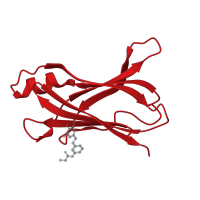 The deposited structure of PDB entry 4hju contains 2 copies of CATH domain 2.60.40.180 (Immunoglobulin-like) in Transthyretin. Showing 1 copy in chain A.