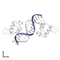 DNA (5'-D(*AP*GP*CP*TP*CP*TP*CP*CP*CP*GP*GP*AP*GP*GP*CP*G)-3') in PDB entry 4hn6, assembly 1, front view.