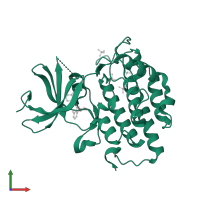 Casein kinase I isoform epsilon in PDB entry 4hni, assembly 2, front view.