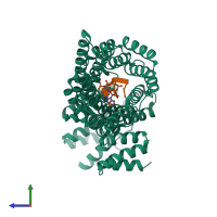 PDB entry 4hot coloured by chain, side view.