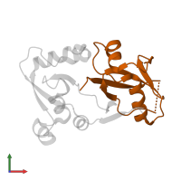 Polycomb group RING finger protein 1 in PDB entry 4hpl, assembly 1, front view.