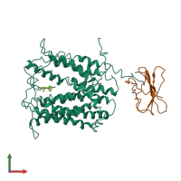 PDB entry 4hum coloured by chain, front view.