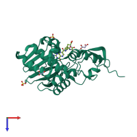PDB entry 4hup coloured by chain, top view.