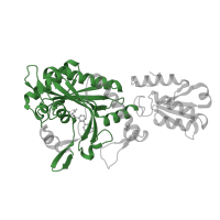 The deposited structure of PDB entry 4hwr contains 2 copies of Pfam domain PF00587 (tRNA synthetase class II core domain (G, H, P, S and T)) in Threonine--tRNA ligase. Showing 1 copy in chain A.