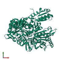 Threonine--tRNA ligase in PDB entry 4hwr, assembly 1, front view.