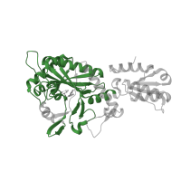 The deposited structure of PDB entry 4hwt contains 2 copies of Pfam domain PF00587 (tRNA synthetase class II core domain (G, H, P, S and T)) in Threonine--tRNA ligase 1, cytoplasmic. Showing 1 copy in chain B.