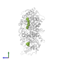 [(5R)-5-amino-5-carboxy-7-(piperidin-1-yl)heptyl](trihydroxy)borate(1-) in PDB entry 4hww, assembly 1, side view.