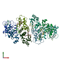 PDB entry 4hy0 coloured by chain, front view.