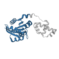 The deposited structure of PDB entry 4hye contains 2 copies of CATH domain 3.40.50.2300 (Rossmann fold) in Response regulator. Showing 1 copy in chain A.