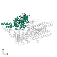 Energy-coupling factor transporter ATP-binding protein EcfA2 in PDB entry 4hzu, assembly 1, front view.