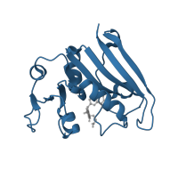 The deposited structure of PDB entry 4i13 contains 1 copy of CATH domain 3.40.430.10 (Dihydrofolate Reductase, subunit A) in Dihydrofolate reductase. Showing 1 copy in chain A.