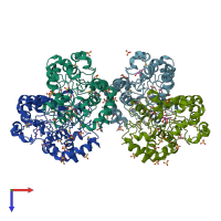 PDB entry 4i1d coloured by chain, top view.