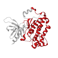 The deposited structure of PDB entry 4i22 contains 1 copy of CATH domain 1.10.510.10 (Transferase(Phosphotransferase); domain 1) in Epidermal growth factor receptor. Showing 1 copy in chain A.
