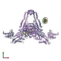 PDB entry 4i3h coloured by chain, front view.