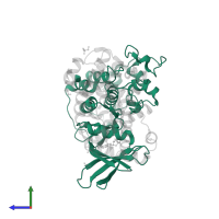 Cyclin-dependent kinase 2 in PDB entry 4i3z, assembly 2, side view.