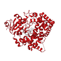 The deposited structure of PDB entry 4i4h contains 1 copy of CATH domain 1.10.630.10 (Cytochrome p450) in Cytochrome P450 3A4. Showing 1 copy in chain A.