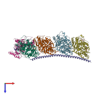 PDB entry 4i4t coloured by chain, top view.