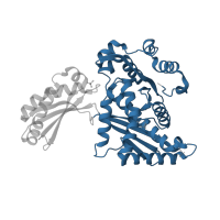 The deposited structure of PDB entry 4i56 contains 2 copies of CATH domain 3.90.770.10 (3-hydroxy-3-methylglutaryl-coenzyme A Reductase; Chain A, domain 2) in 3-hydroxy-3-methylglutaryl-coenzyme A reductase. Showing 1 copy in chain B.