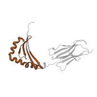 The deposited structure of PDB entry 4i5b contains 2 copies of Pfam domain PF00969 (Class II histocompatibility antigen, beta domain) in HLA class II histocompatibility antigen, DRB1 beta chain. Showing 1 copy in chain B.