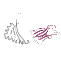 The deposited structure of PDB entry 4i5b contains 2 copies of Pfam domain PF07654 (Immunoglobulin C1-set domain) in HLA class II histocompatibility antigen, DRB1 beta chain. Showing 1 copy in chain B.