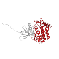 The deposited structure of PDB entry 4i5c contains 2 copies of CATH domain 1.10.510.10 (Transferase(Phosphotransferase); domain 1) in Tyrosine-protein kinase JAK1. Showing 1 copy in chain B.