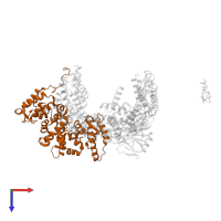 Cell division control protein 6 homolog in PDB entry 4i5n, assembly 1, top view.