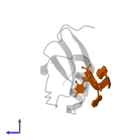 5'-R(P*GP*GP*GP*(RPC))-3' in PDB entry 4i67, assembly 1, side view.
