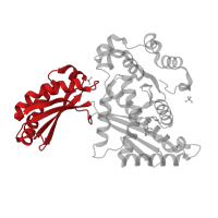 The deposited structure of PDB entry 4i6w contains 2 copies of CATH domain 3.30.70.420 (Alpha-Beta Plaits) in 3-hydroxy-3-methylglutaryl-coenzyme A reductase. Showing 1 copy in chain B.