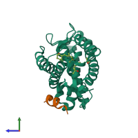 PDB entry 4ia2 coloured by chain, side view.