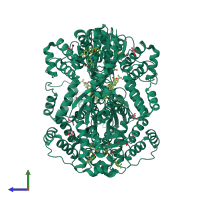 Homo hexameric assembly 5 of PDB entry 4iah coloured by chemically distinct molecules, side view.