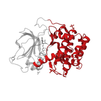 The deposited structure of PDB entry 4iak contains 1 copy of CATH domain 1.10.510.10 (Transferase(Phosphotransferase); domain 1) in cAMP-dependent protein kinase catalytic subunit alpha. Showing 1 copy in chain A.