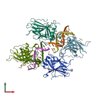 PDB entry 4ibu coloured by chain, front view.