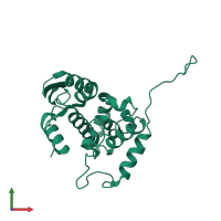 Nucleoprotein in PDB entry 4idx, assembly 2, front view.