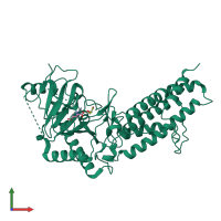 PDB entry 4ie0 coloured by chain, front view.