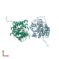 PDB entry 4ie1 coloured by chain, front view.