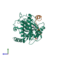 PDB entry 4ie9 coloured by chain, side view.