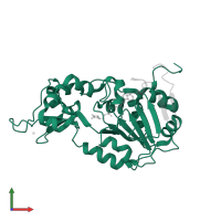 SirtT1 75 kDa fragment in PDB entry 4if6, assembly 1, front view.