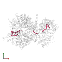 RNA (45-MER) in PDB entry 4ifd, assembly 1, front view.