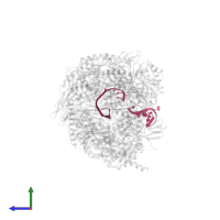 RNA (45-MER) in PDB entry 4ifd, assembly 1, side view.